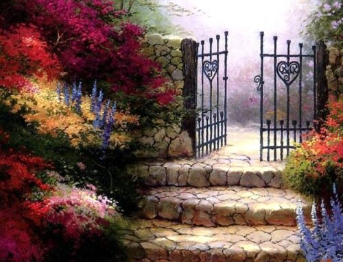 A Quiet Place in Bright Sunshine